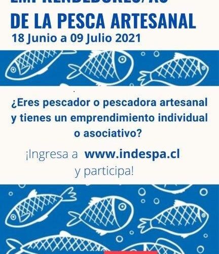 Indespa lanza primera consulta para caracterizar emprendimientos en la pesca artesanal