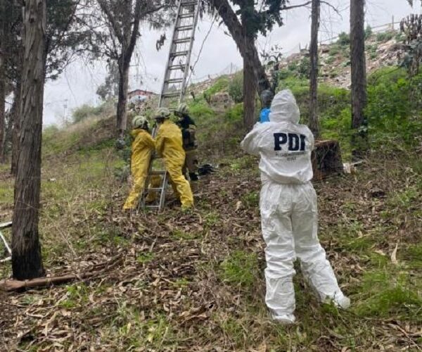 Encuentran el cuerpo sin vida de un hombre en el fundo de Llolleo