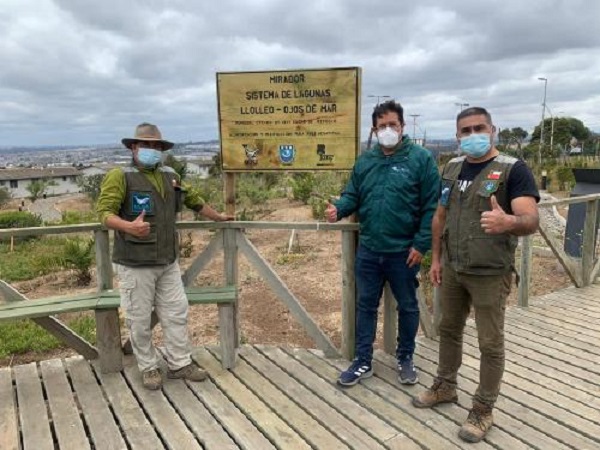 Conaf donó más de un centenar de árboles nativos al bioparque del Musa