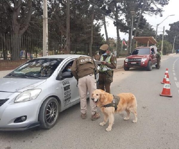 Más de 200 mil personas visitaron la provincia en un fin de semana que dejó más de mil controles preventivos y 51 detenidos