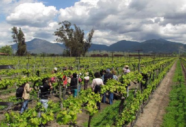 Seminario “Digitaliza tu Campo” mostrará asombrosas innovaciones orientadas a las pymes agrícolas de la Provincia de San Antonio