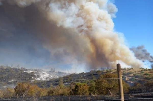 Incendio de Pangui Rosa se mantiene con alerta roja, consumiendo más de dos mil hectáreas