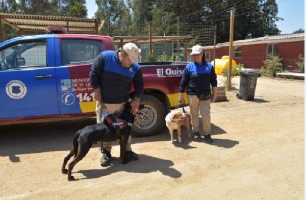 Patrulla canina se prepara para salir a las calles quisqueñas