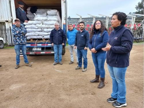Indap entrega alimento para ganado a agricultores afectados por desbordes  de río Maipo en San Antonio y Santo Domingo