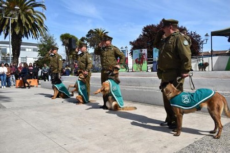 Sección Canina de Carabineros deleito a asistentes a Feria Preventiva en Cartagena