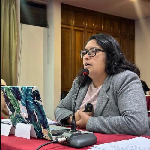 A un mes de haber asumido renunció  Seremi de Seguridad Pública