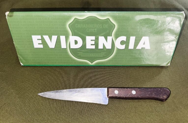 Detienen a mujer que asaltó a colectivero y provocó atropello en Llolleo