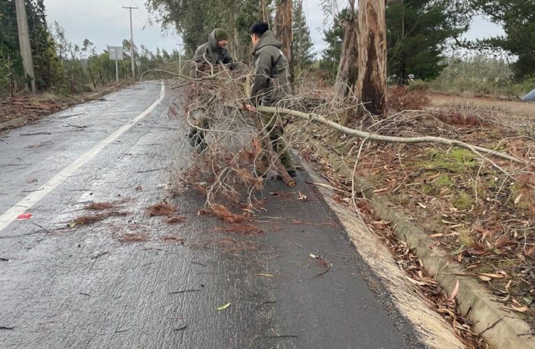 Carabineros de Cartagena se despliega para apoyar a vecinos durante sistema frontal