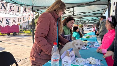 Ordenanza de Tenencia de Mascotas de Cartagena es modificada tras indicaciones de Contraloría